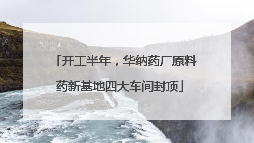 开工半年，华纳药厂原料药新基地四大车间封顶