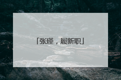 张瑾，履新职