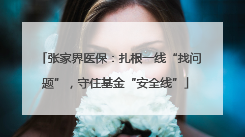 张家界医保：扎根一线“找问题”，守住基金“安全线”