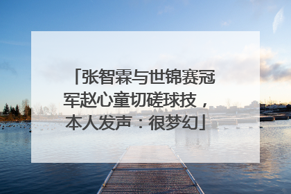 张智霖与世锦赛冠军赵心童切磋球技，本人发声：很梦幻