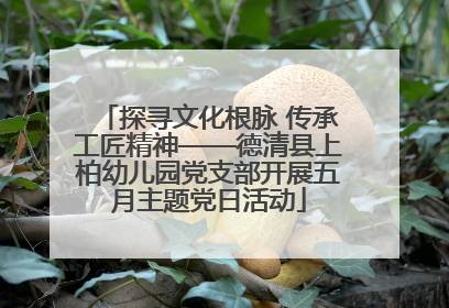 探寻文化根脉 传承工匠精神——德清县上柏幼儿园党支部开展五月主题党日活动