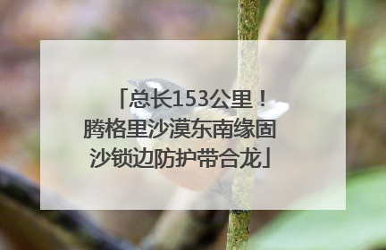 总长153公里！腾格里沙漠东南缘固沙锁边防护带合龙