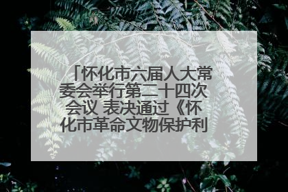 怀化市六届人大常委会举行第二十四次会议 表决通过《怀化市革命文物保护利用若干规定》