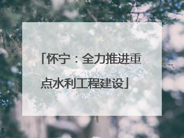 怀宁：全力推进重点水利工程建设