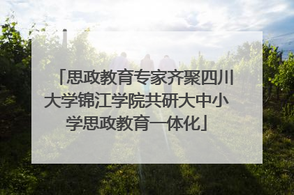 思政教育专家齐聚四川大学锦江学院共研大中小学思政教育一体化