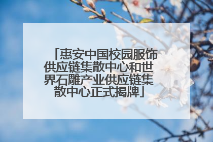 惠安中国校园服饰供应链集散中心和世界石雕产业供应链集散中心正式揭牌