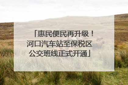 惠民便民再升级！河口汽车站至保税区公交班线正式开通