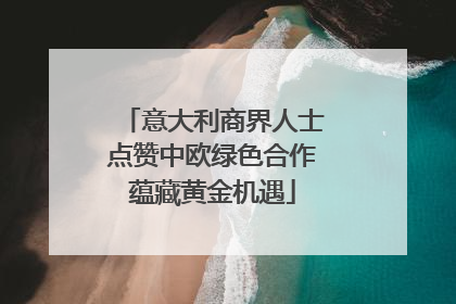 意大利商界人士点赞中欧绿色合作蕴藏黄金机遇
