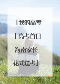 我的高考丨高考首日 海南家长花式送考