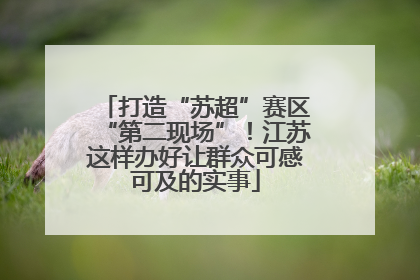 打造“苏超”赛区“第二现场”！江苏这样办好让群众可感可及的实事