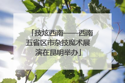 技炫西南——西南五省区市杂技魔术展演在昆明举办