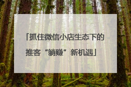 抓住微信小店生态下的推客“躺赚”新机遇