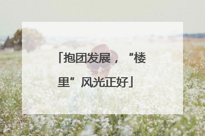 抱团发展，“楼里”风光正好