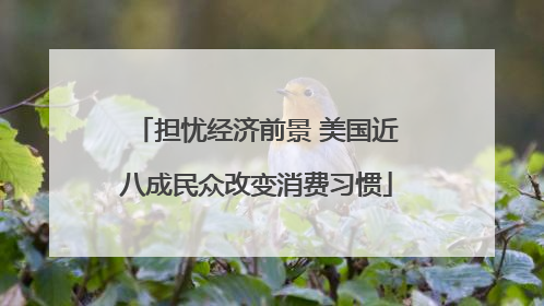 担忧经济前景 美国近八成民众改变消费习惯