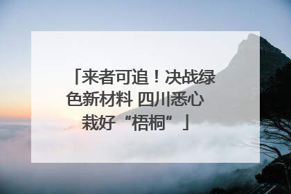 来者可追！决战绿色新材料 四川悉心栽好“梧桐”