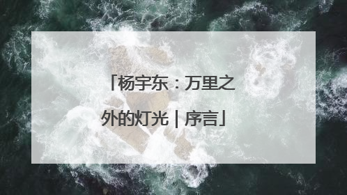 杨宇东：万里之外的灯光｜序言