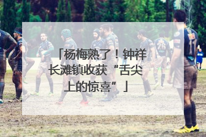 杨梅熟了！钟祥长滩镇收获“舌尖上的惊喜”