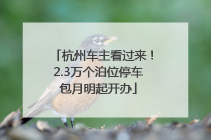 杭州车主看过来！2.3万个泊位停车包月明起开办