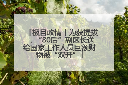 极目政情丨为获提拔，“80后”副区长送给国家工作人员巨额财物被“双开”