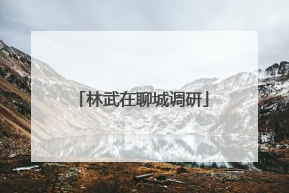 林武在聊城调研