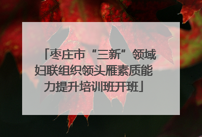 枣庄市“三新”领域妇联组织领头雁素质能力提升培训班开班