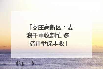 枣庄高新区：麦浪千重收割忙 多措并举保丰收