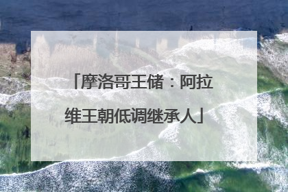 摩洛哥王储：阿拉维王朝低调继承人