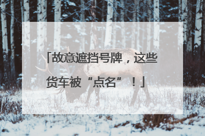故意遮挡号牌，这些货车被“点名”！