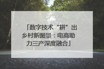 数字技术“耕”出乡村新图景：电商助力三产深度融合