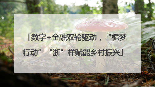 数字+金融双轮驱动，“栀梦行动”“浙”样赋能乡村振兴