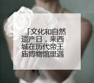 文化和自然遗产日，来西城在历代帝王庙博物馆里遇见非遗