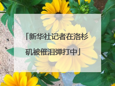 新华社记者在洛杉矶被催泪弹打中