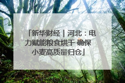 新华财经｜河北：电力赋能粮食烘干 确保小麦高质量归仓