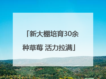 新大棚培育30余种草莓 活力拉满