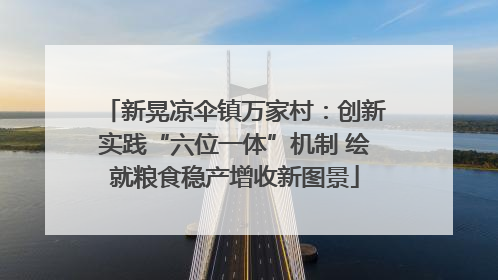新晃凉伞镇万家村：创新实践“六位一体”机制 绘就粮食稳产增收新图景