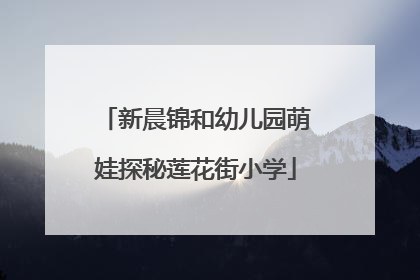 新晨锦和幼儿园萌娃探秘莲花街小学