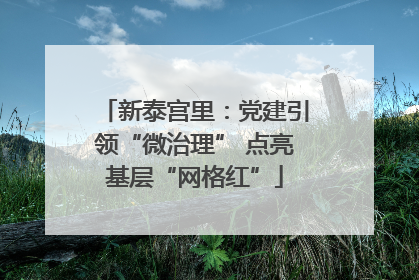 新泰宫里：党建引领“微治理” 点亮基层“网格红”