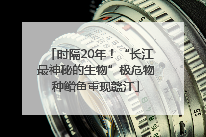 时隔20年！“长江最神秘的生物”极危物种鳤鱼重现赣江