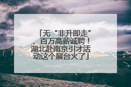 无“非升即走”、百万高薪诚聘！湖北赴南京引才活动这个展台火了
