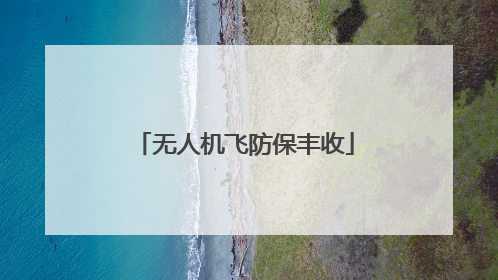 无人机飞防保丰收