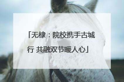 无棣：院校携手古城行 共融双节暖人心
