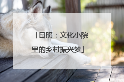 日照：文化小院里的乡村振兴梦