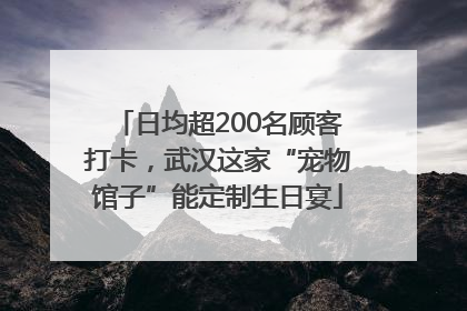 日均超200名顾客打卡，武汉这家“宠物馆子”能定制生日宴