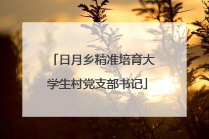 日月乡精准培育大学生村党支部书记