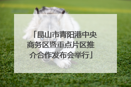 昆山市青阳港中央商务区暨重点片区推介合作发布会举行