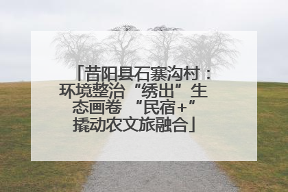 昔阳县石寨沟村：环境整治“绣出”生态画卷 “民宿+”撬动农文旅融合
