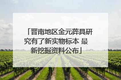 晋南地区金元葬具研究有了新实物标本 最新挖掘资料公布
