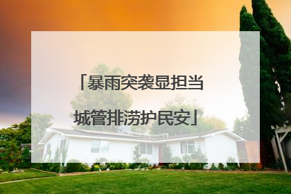 暴雨突袭显担当 城管排涝护民安