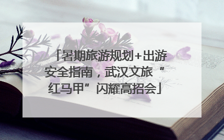 暑期旅游规划+出游安全指南，武汉文旅“红马甲”闪耀高招会