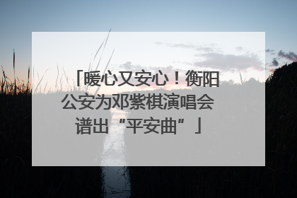 暖心又安心！衡阳公安为邓紫棋演唱会谱出“平安曲”